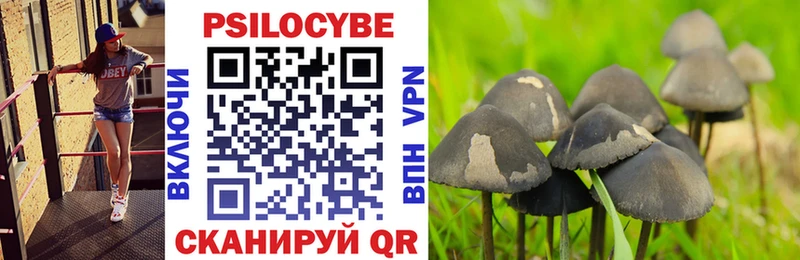 Псилоцибиновые грибы GOLDEN TEACHER Кирс